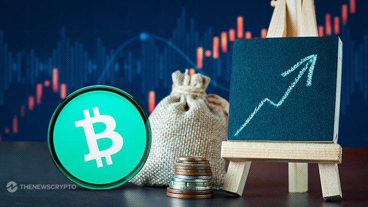 Bitcoin Cash price prediction & forecast / - 