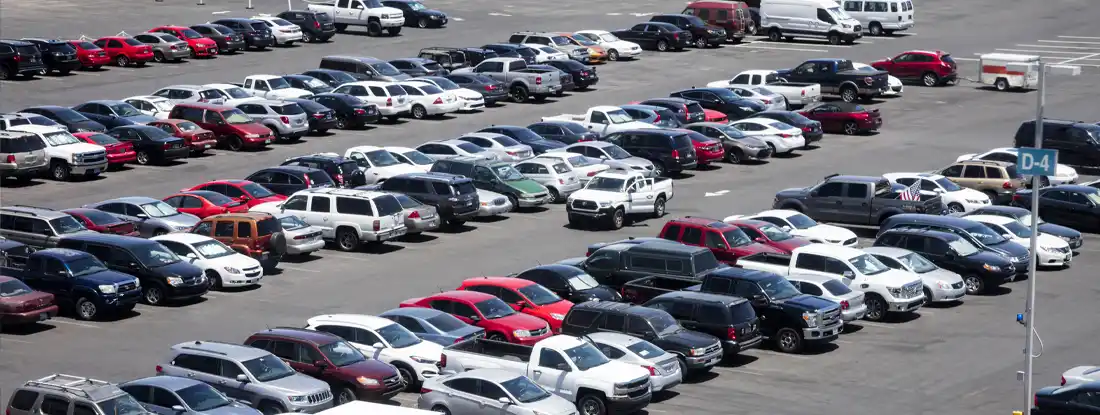 Online Car Auctions: Buying a Car at Auto Auction