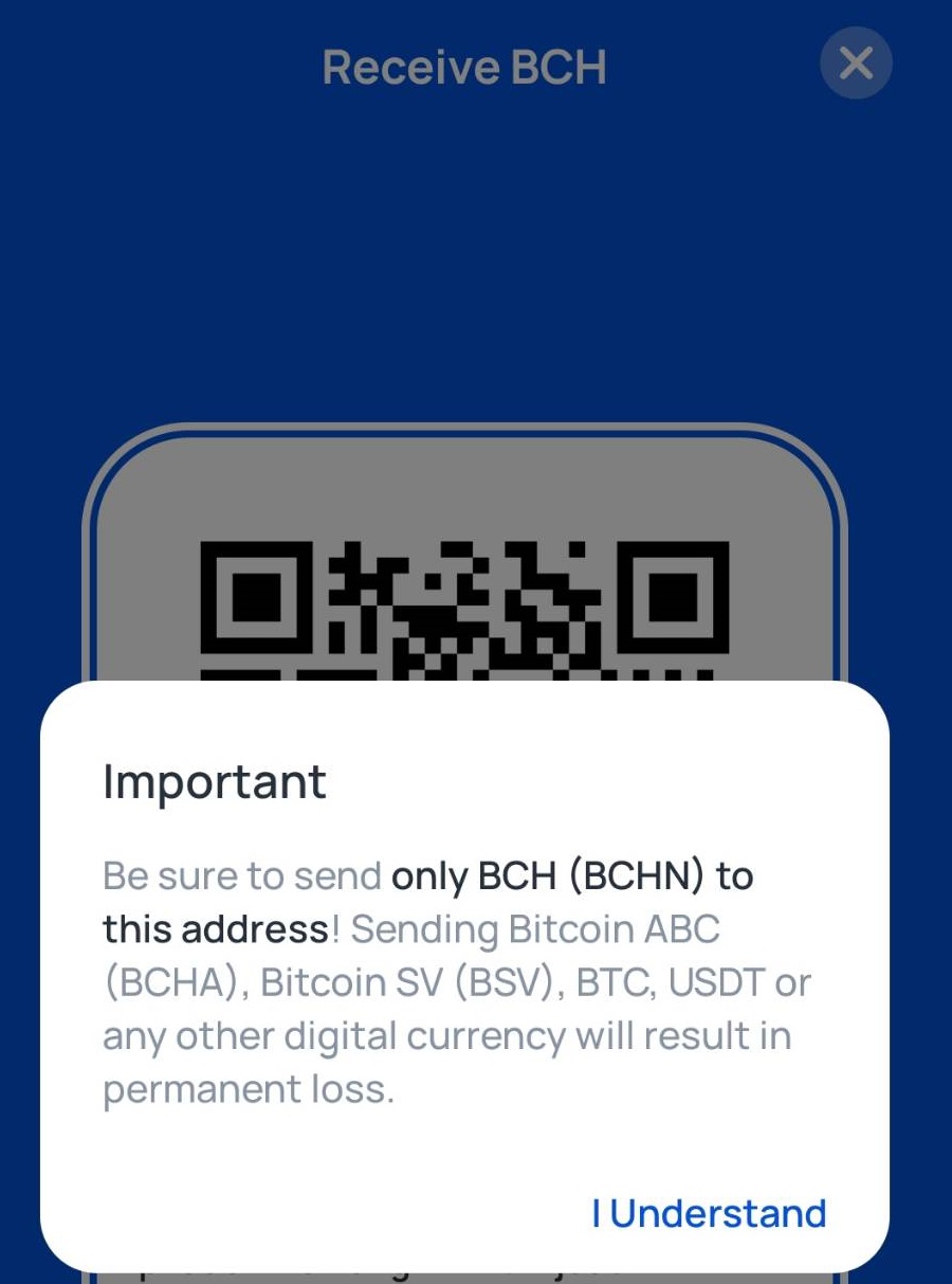 BCH/BTC Pairing Now Live on bitcoinlog.fun' CX Platform | BitPinas