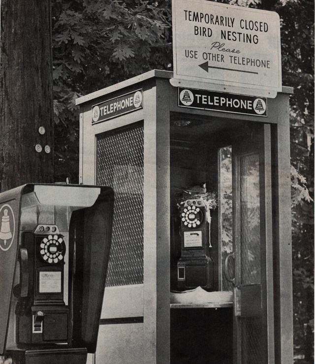 Read the Plaque - Finch Station Payphone