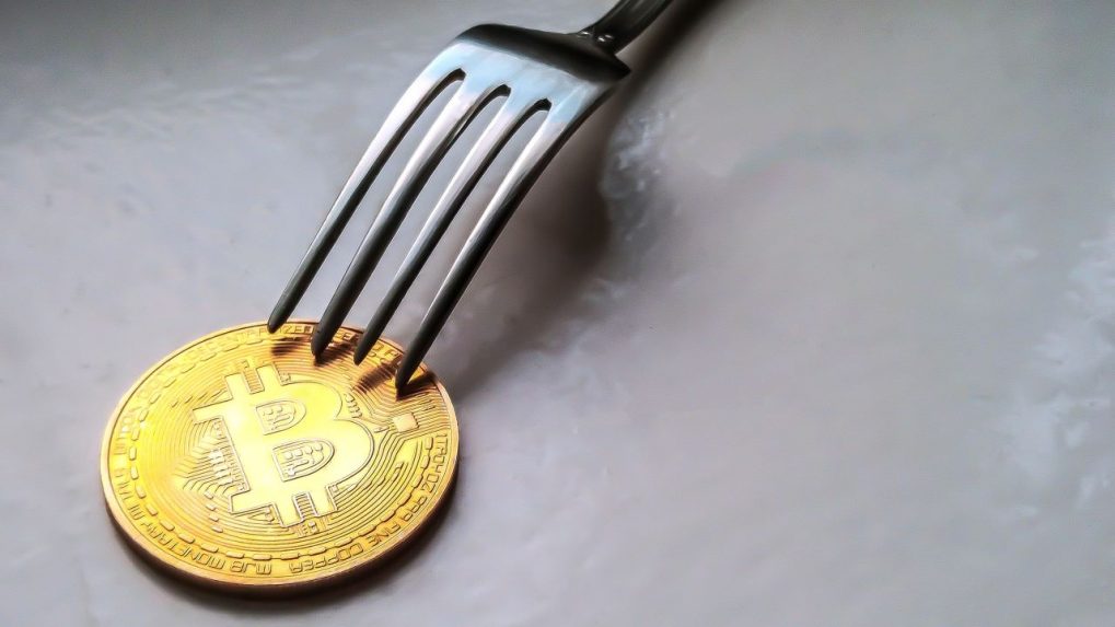 What are forks and how to track them – DL News