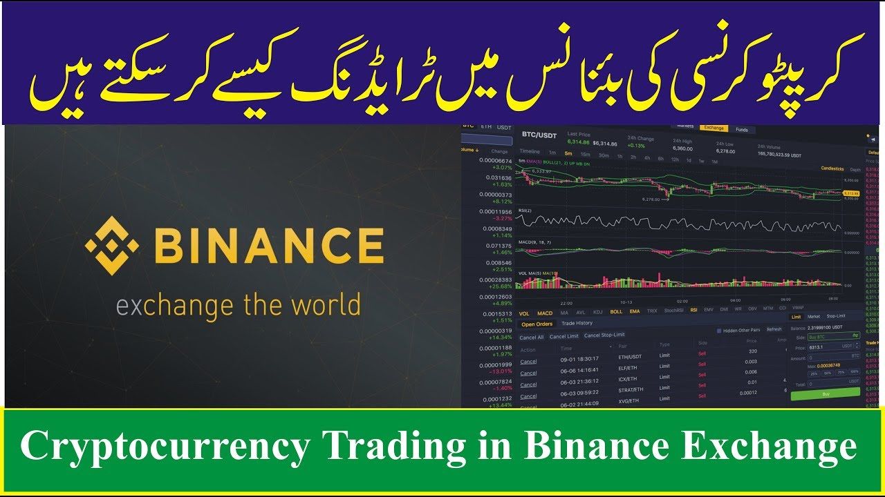 Cryptocurrency Trading Course For Beginners in Hindi / Urdu - Skillmapper