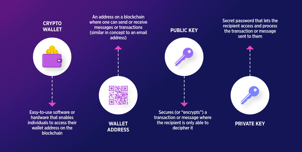 How Does A Crypto Wallet Work? | Ledger