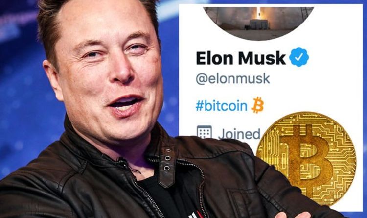 Tesla Billionaire Elon Musk Reveals How Much Bitcoin He Owns