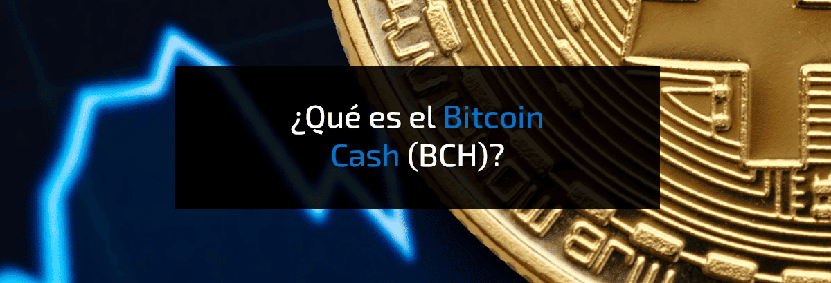 Convert 1 BTC to BCH - Bitcoin to Bitcoin Cash Converter | CoinCodex