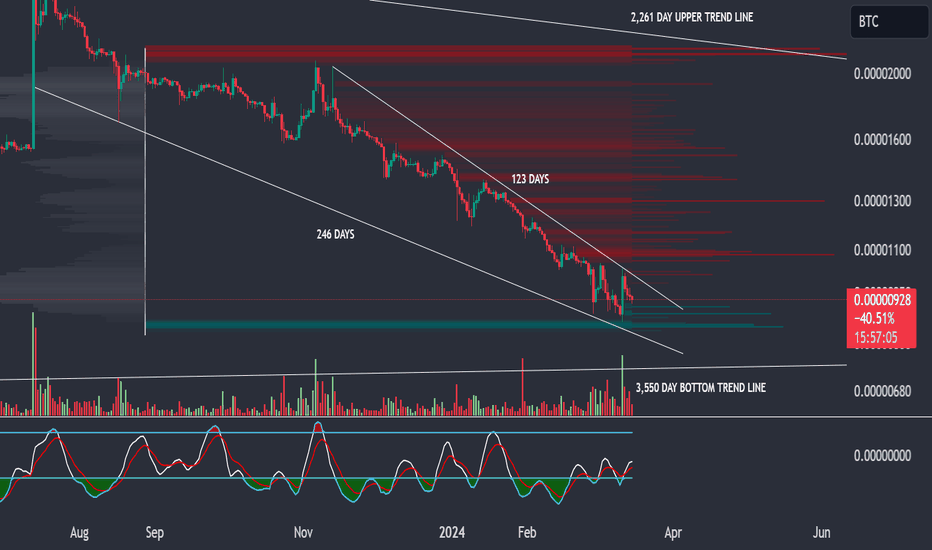 Page 8 S-XRP — TradingView — India