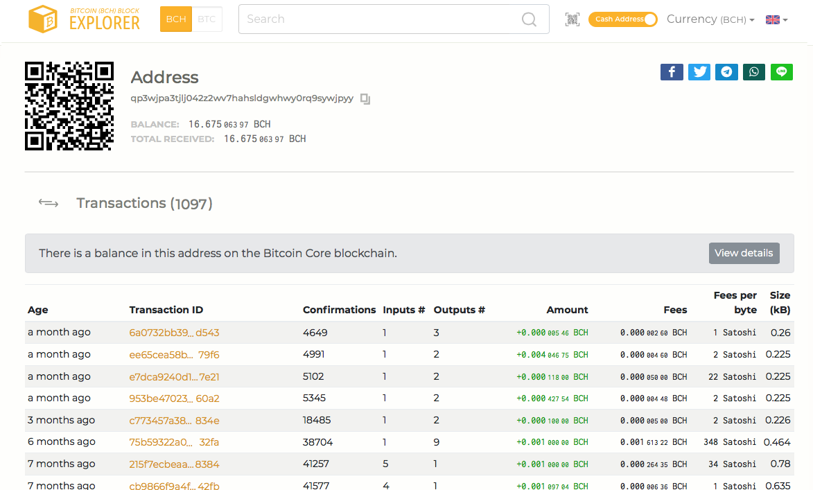 Block Explorer Definition | CoinMarketCap