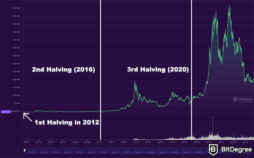 Bitcoin Halving Dates: Investor’s Guide | CoinLedger