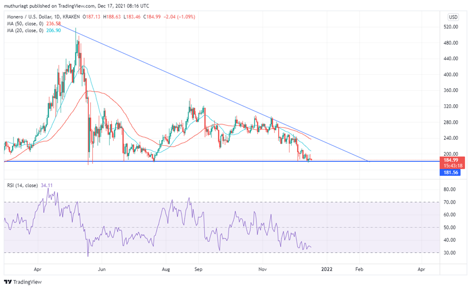 Monero (XMR) Price Prediction - 