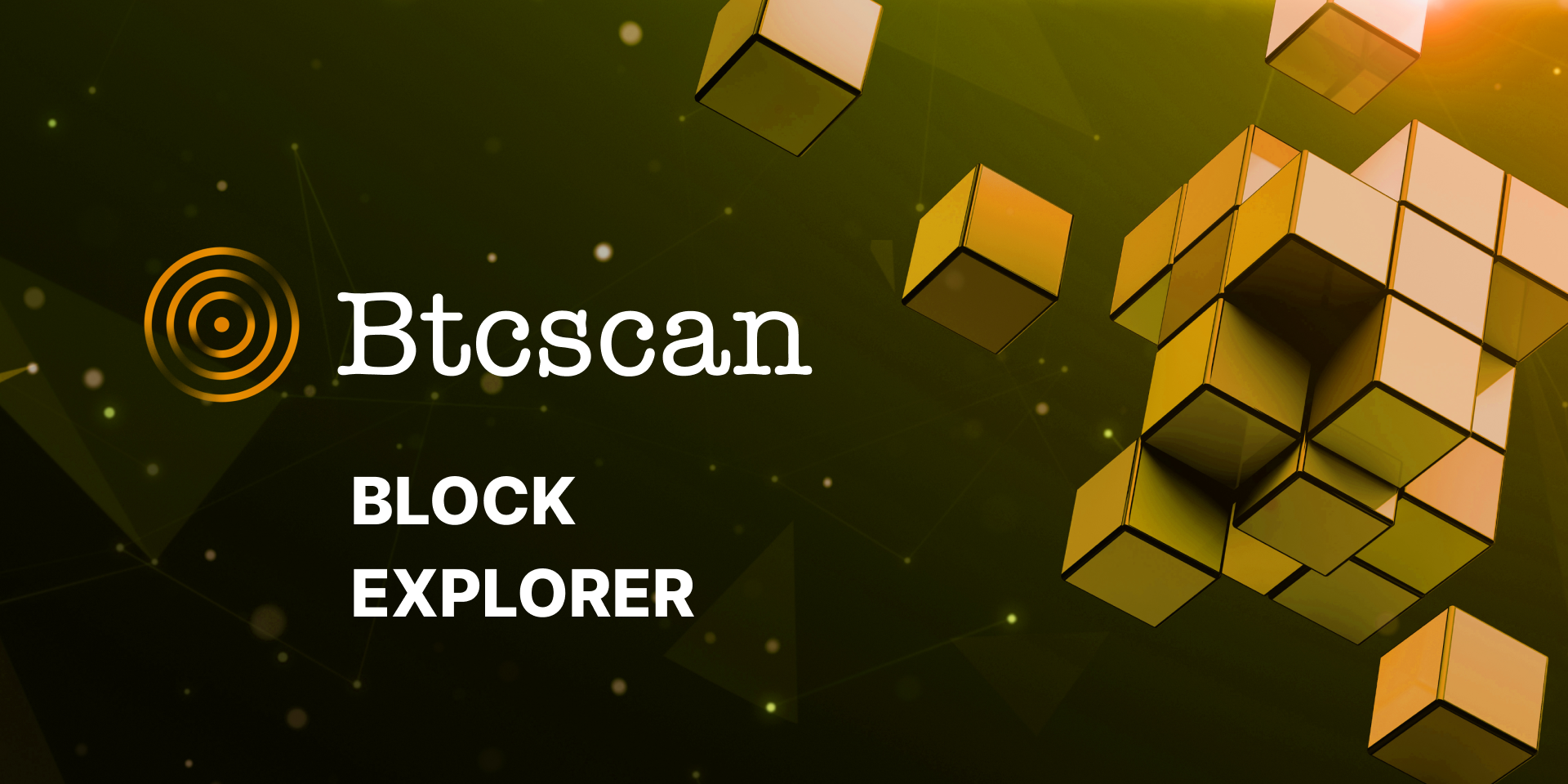 Blockchain explorer — check transaction hash & track other cryptocurrency information