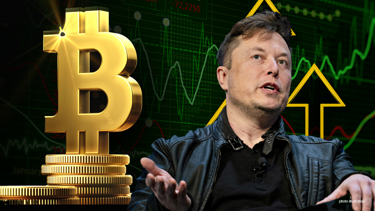 Elon Musk’s Power Over Crypto, Explained