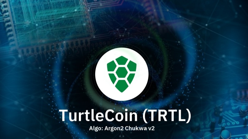 TURTLE (TRTL) Token Analytics | Ethereum Mainnet | Bitquery