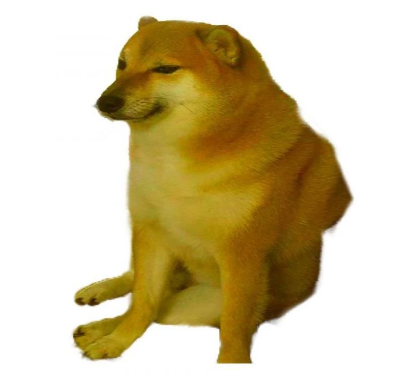 Doge Meme Template | All Doge Funny Meme Templates | Doge Memes - Memes