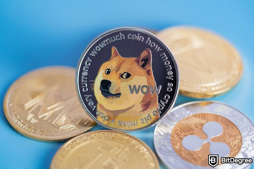 How to Buy Dogecoin (DOGE)? Step-by-step guide for buying Dogecoin | Ledger