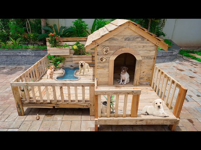 52 Best Dog pools ideas | dog pool, dogs, doggy