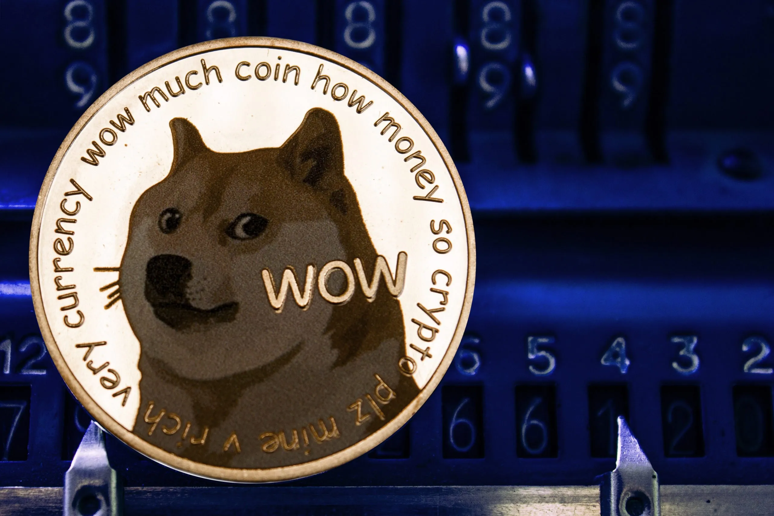 What Is the Dogecoin Challenge on TikTok? Should You Buy Dogecoin Now?
