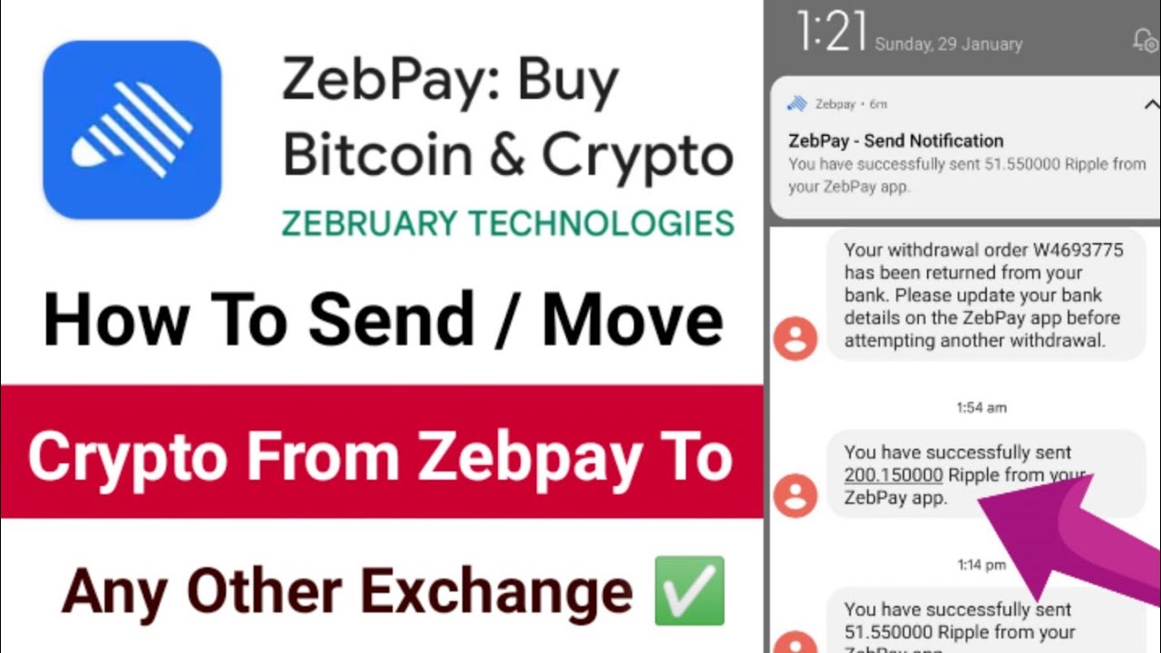 Crypto exchange Zebpay to users: Withdraw money before RBI deadline
