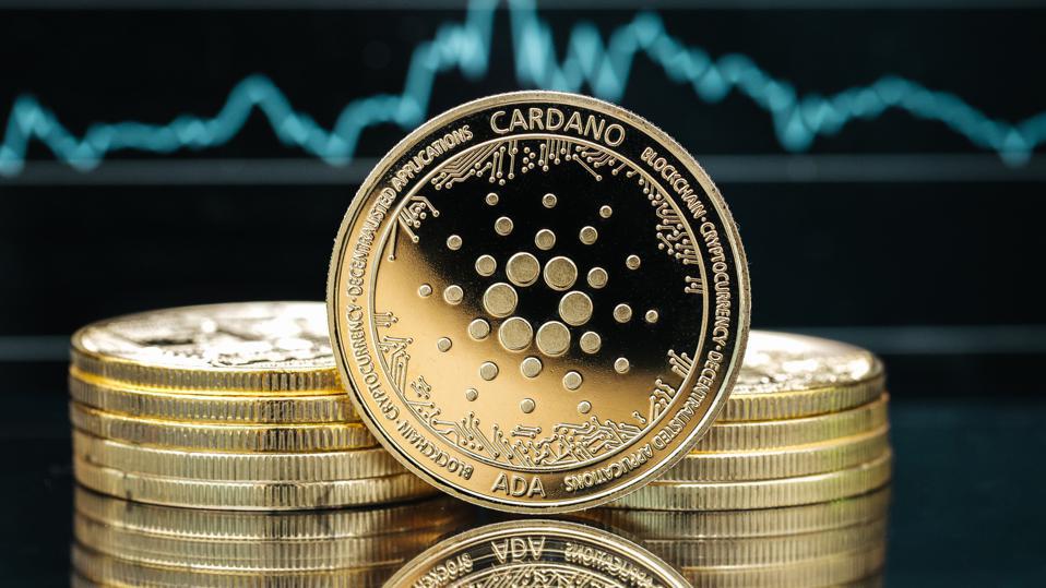 Cardano Guide | Genius Academy