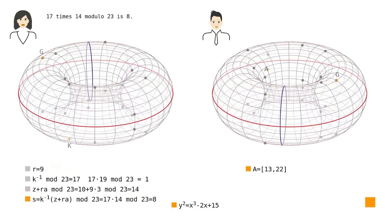 Elliptic Curve Digital Signature Algorithm - Wikipedia