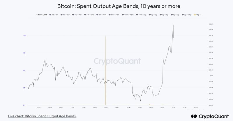 SATOSHI to USD Price Converter & Calculator, Live Exchange Rate | CoinBrain