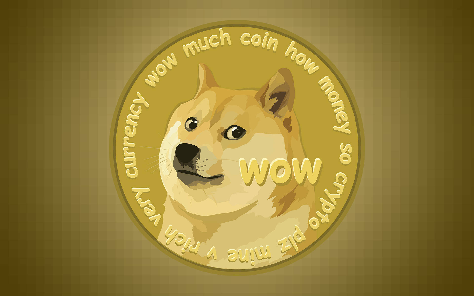 Surge of dogecoin price sparks interest in cryptocurrency newcomers