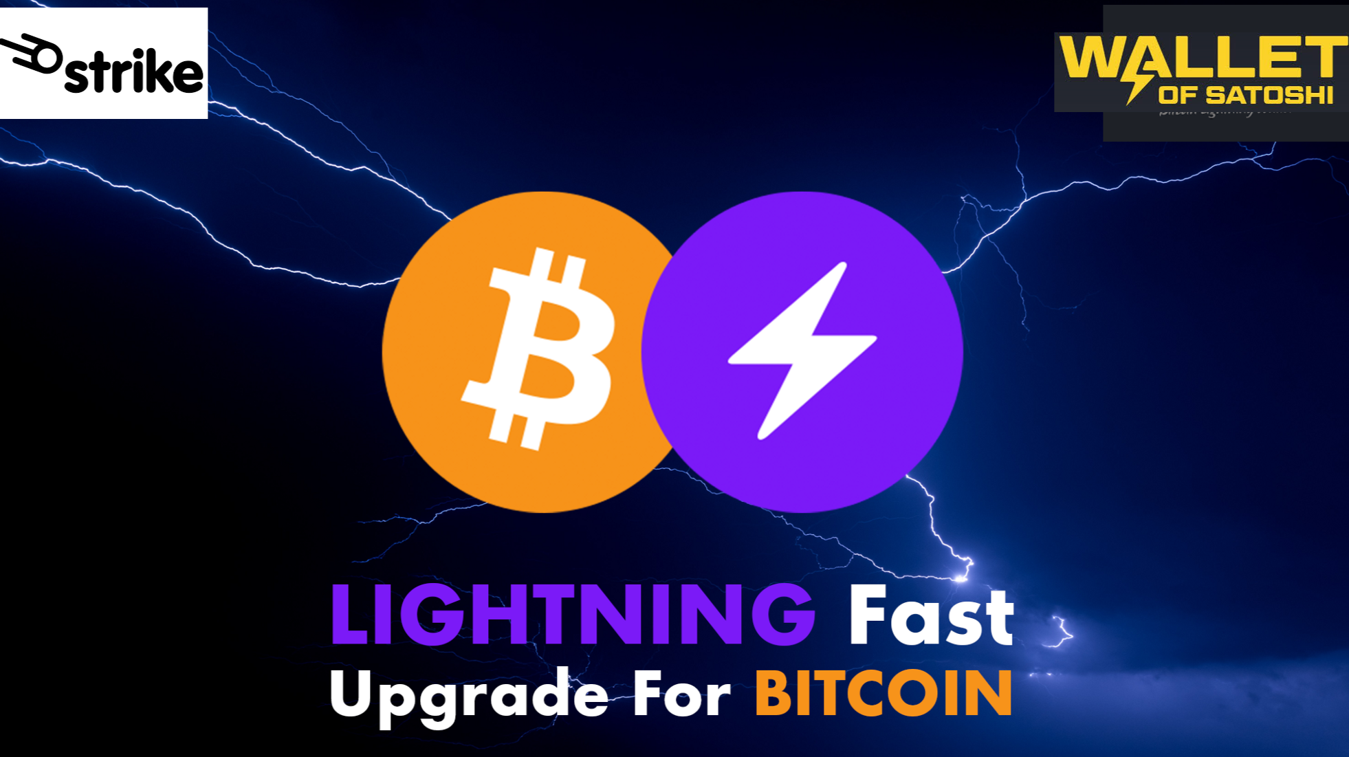 Top 12 Wallets for the Bitcoin Lightning Network – CryptoNinjas