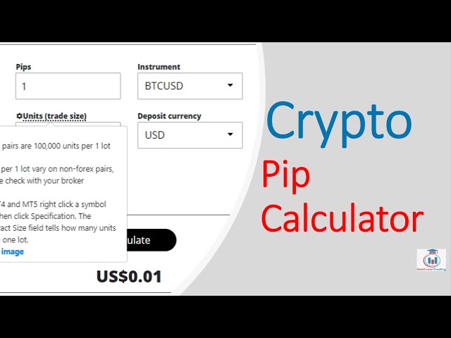 bitcoinlog.fun Pip calculator - EasyCashBackForex