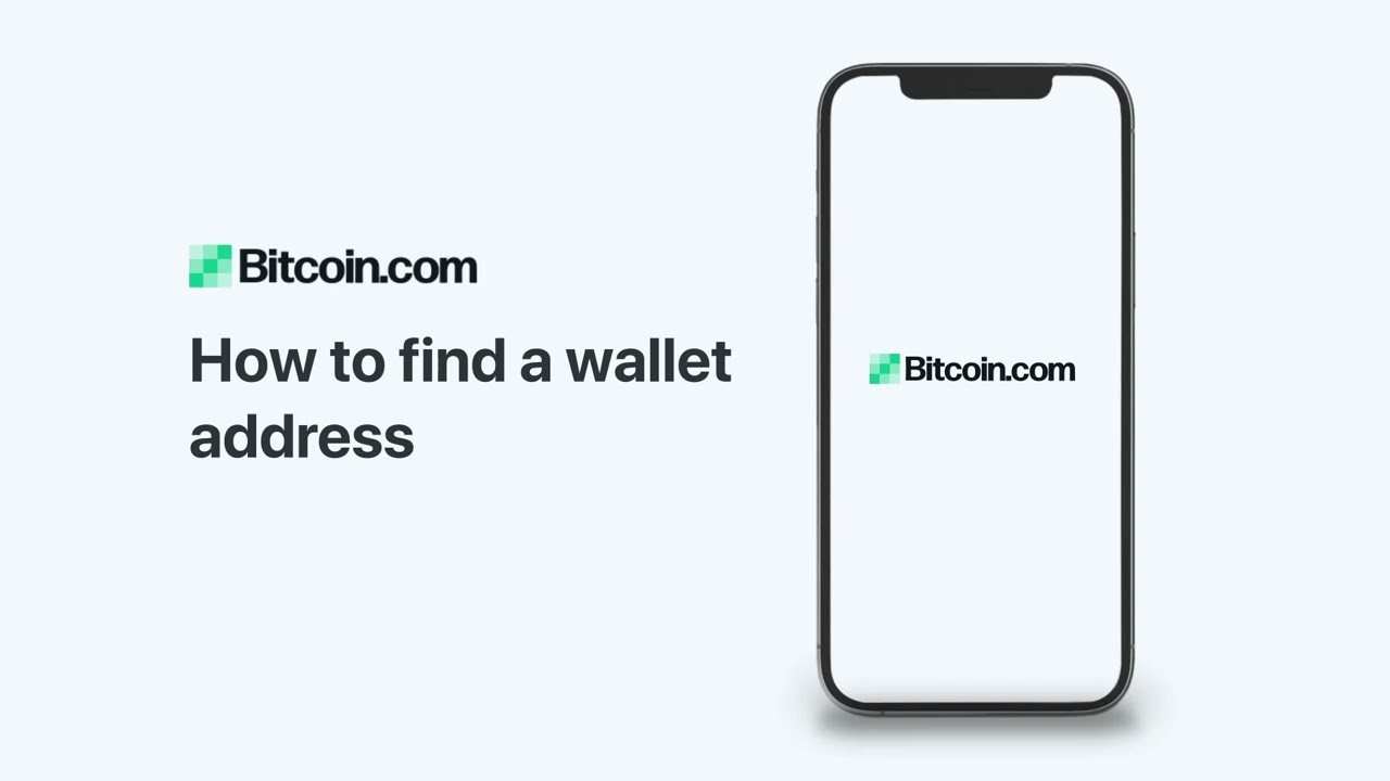 Bitcoin Address | Wallet Lookup - Blockonomics