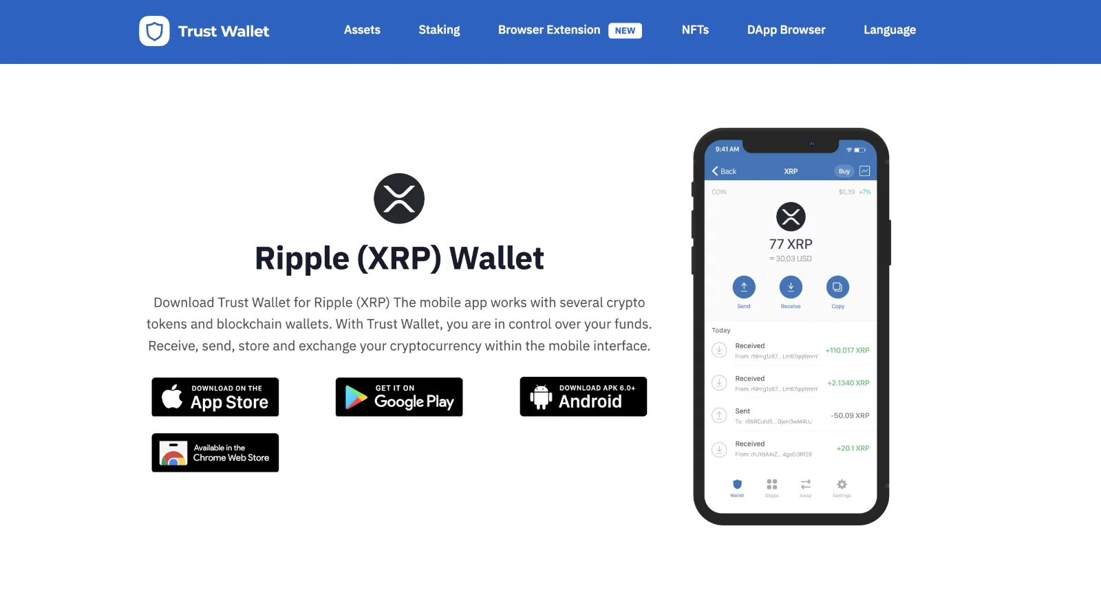 XRP Explorer | Scan the XRP Ledger network.