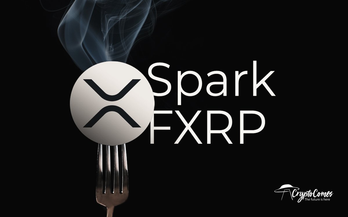 Bitstamp still 'assessing support' for XRP Utility fork airdrop - AMBCrypto