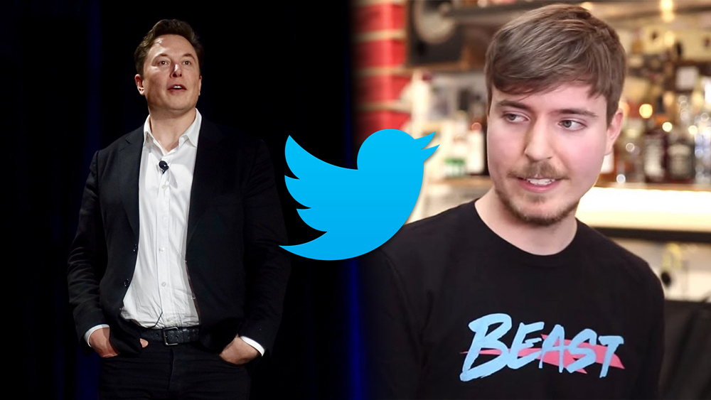 Does YouTuber MrBeast Own $PEPE Coin? Here's The Link A Twitter User Found - Benzinga