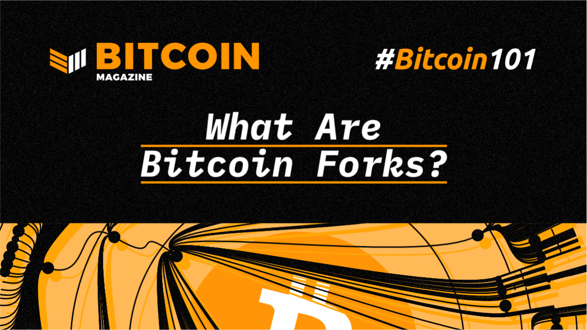 A list of Bitcoin forks and how they have changed the network