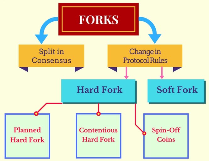 What is a blockchain fork?| CMC Markets