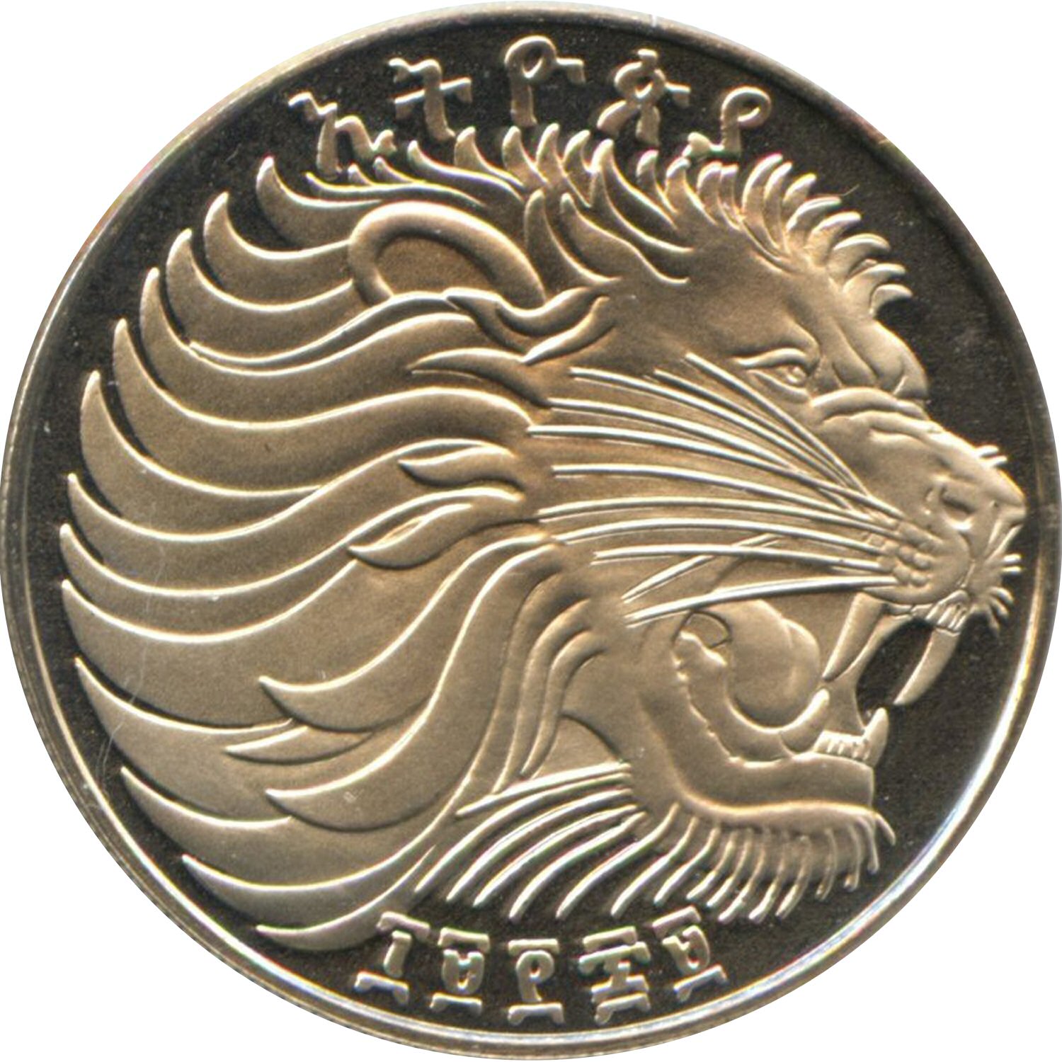 Intrépide Lion Coin Necklace - 14K gold or sterling silver. Shop Now! – B.BéNI® Jewelry