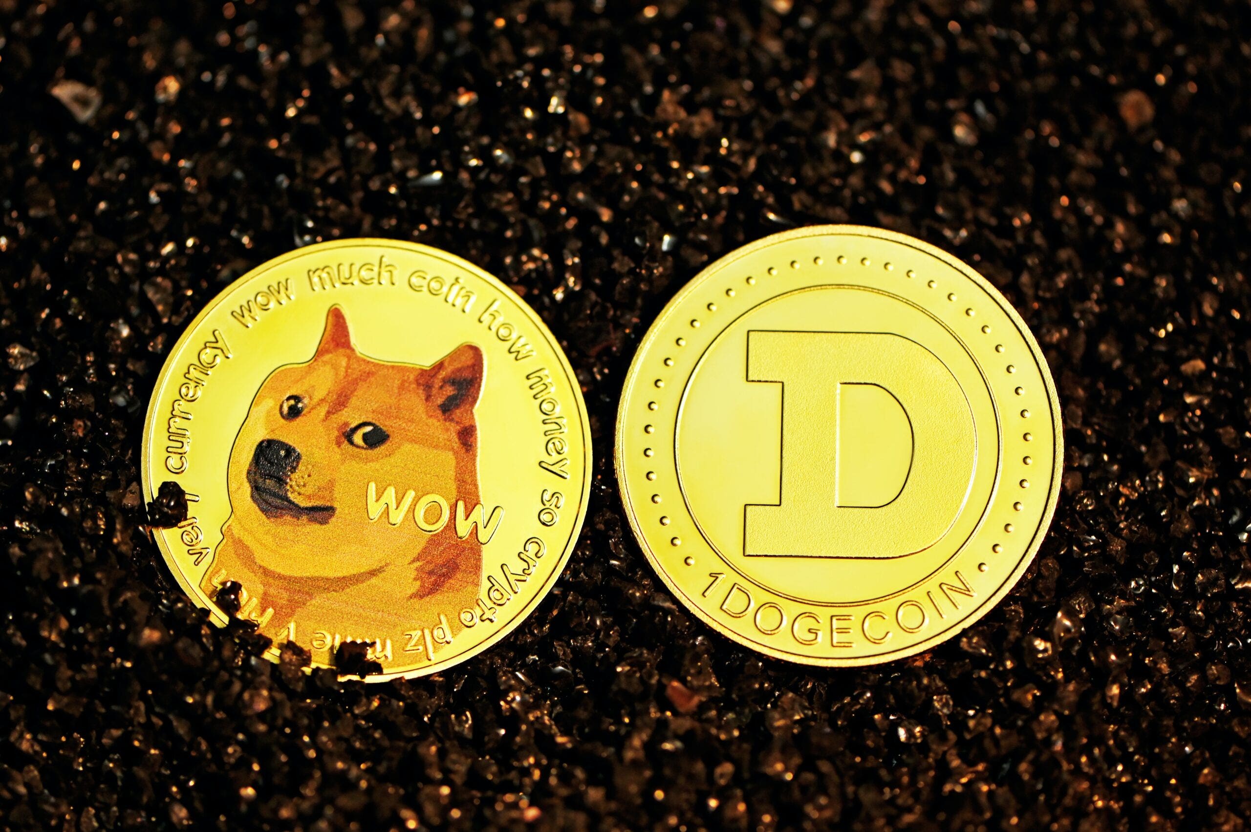 Dogecoin Trading in How to Get a Doge 🐕 in Your Pocket - bitcoinlog.fun