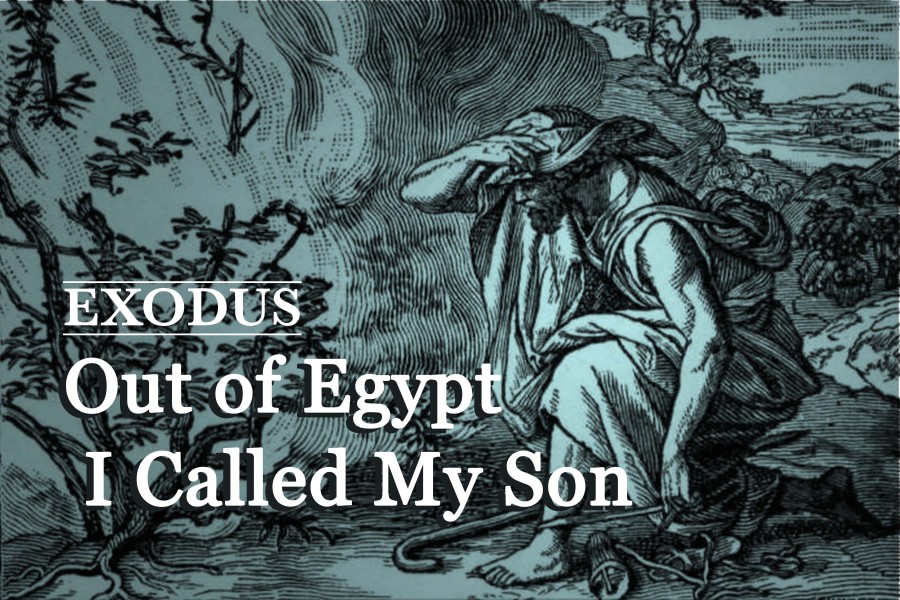 Commentary on Exodus — - Working Preacher from Luther Seminary