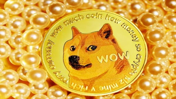 Dogecoin (DOGE)| Dogecoin Price in India Today 04 March News in Hindi - bitcoinlog.fun