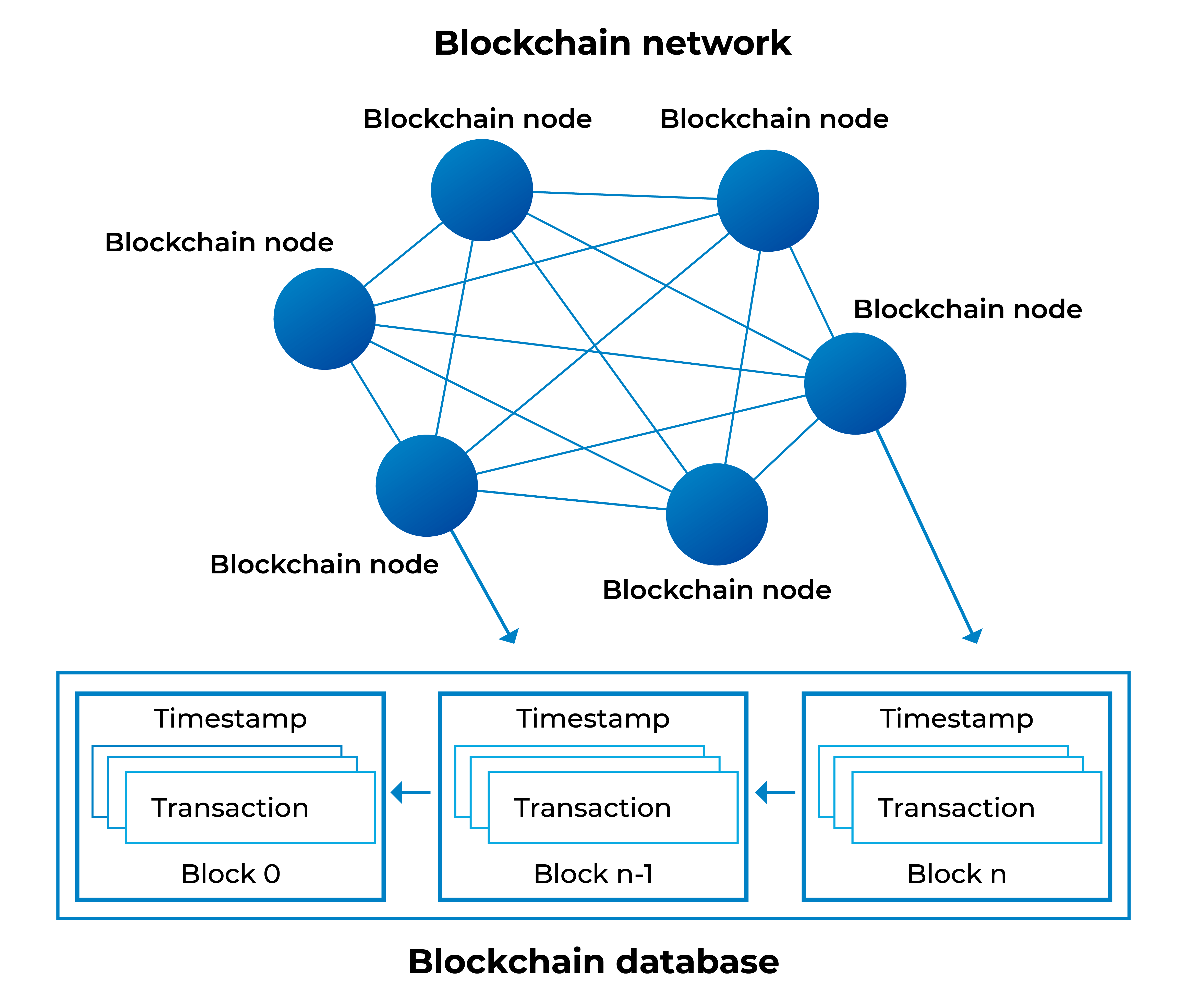 Blockchain Node Providers and How They Work - InfoQ