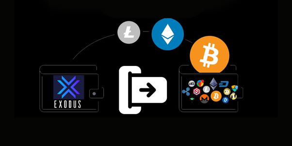 GUIDE: How To Withdraw Money From Exodus Wallet