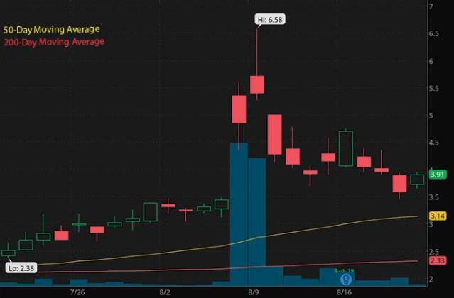 A Guide to Penny Stocks Investing in Canada