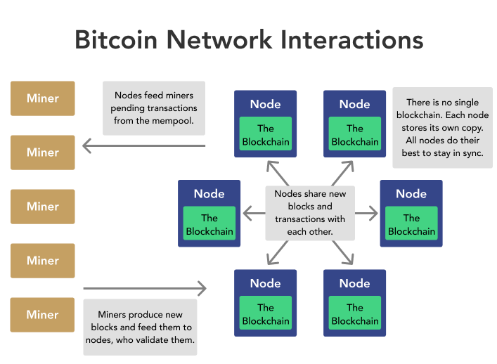 Types of Node in Blockchain