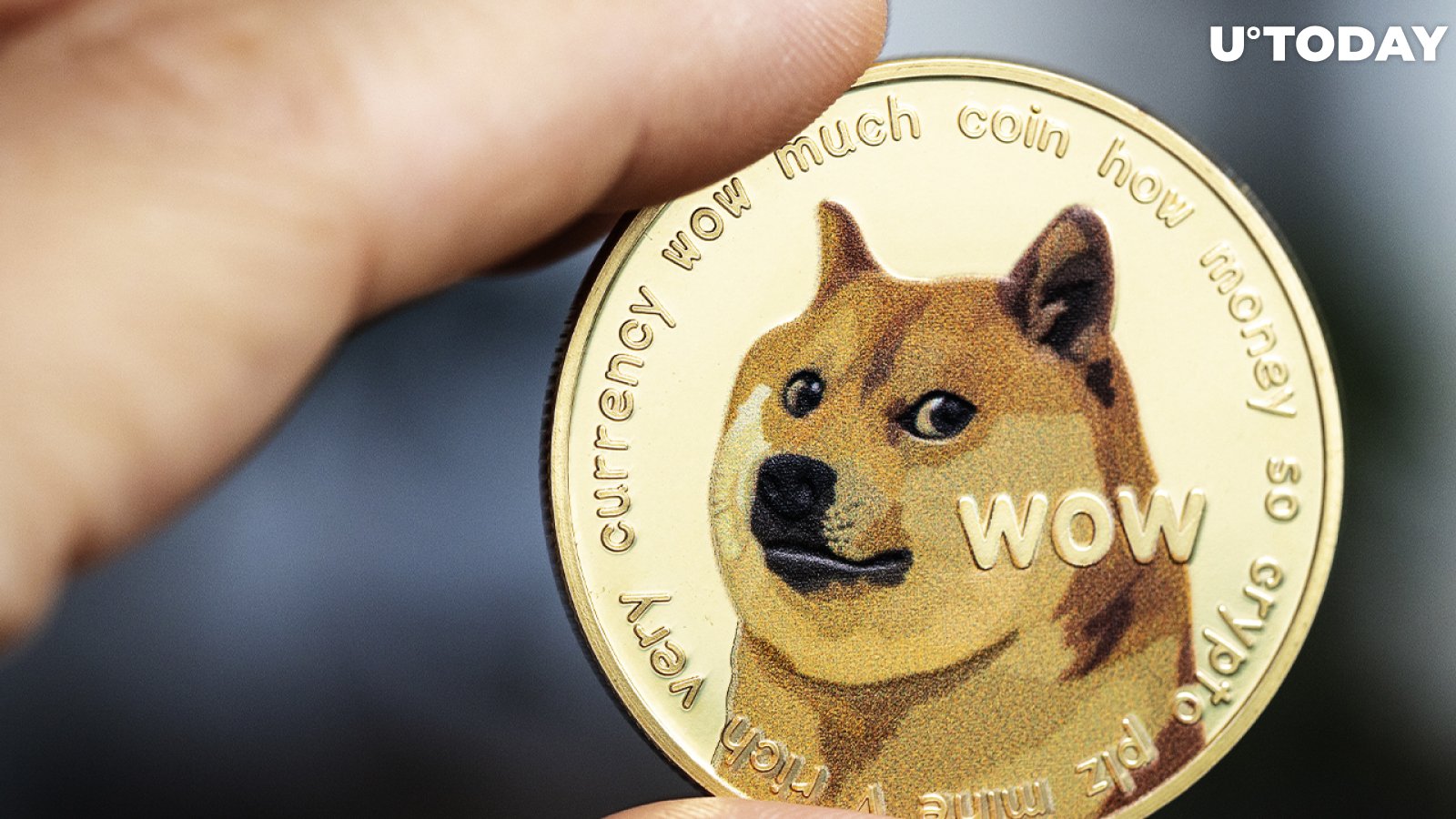 USD to DOGE | Convert United States Dollar to Dogecoin | OKX