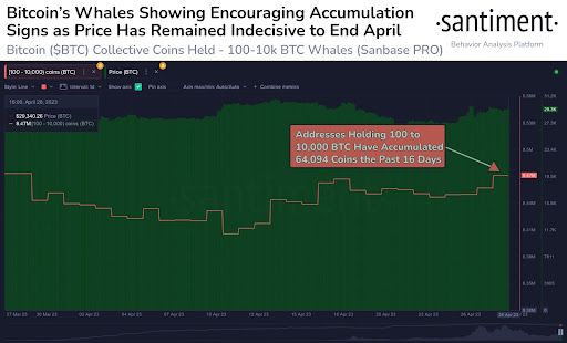 Blocks - mempool - Bitcoin Signet