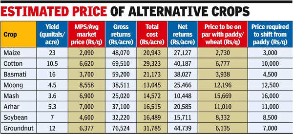 'Minimum Export Price of Basmati Rice Too High', Exporters Boycott Mandis