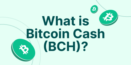 Sell Bitcoin Cash (BCH) to the Bank transfer PKR  where is the best exchange rate?