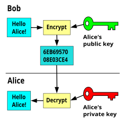 Public Vs Private Keys: Understanding PKC in Crypto | Ledger