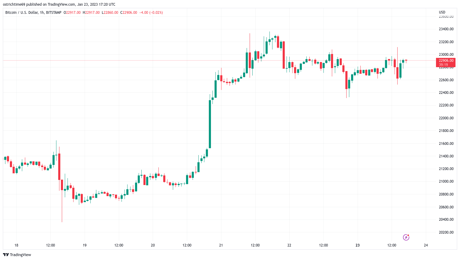 Page Bitcoin Trade Ideas — BITSTAMP:BTCUSD — TradingView