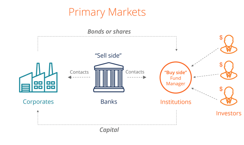 Primary Market: Meaning, Objective, Function & Example