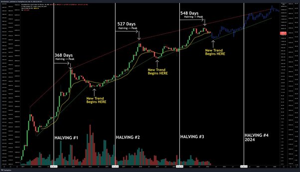 Will Bitcoin’s price climb higher after the halving? Here’s what four experts say – DL News