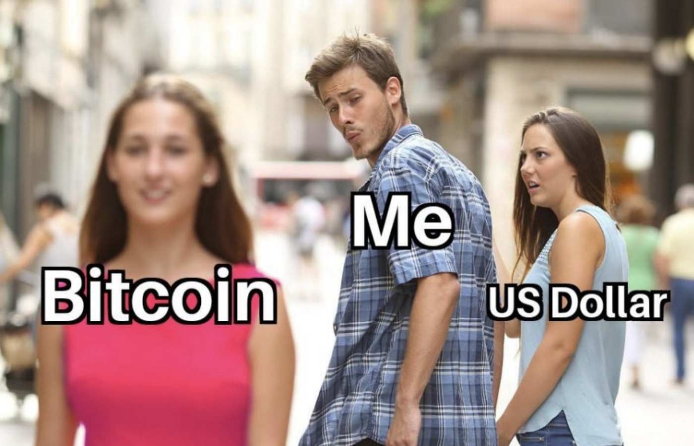 Crypto memes ideas | memes, investing in cryptocurrency, how to get rich